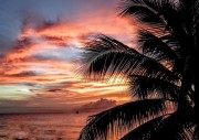 IMG_7326.jpeg