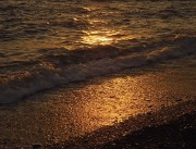 IMG_0307.jpeg
