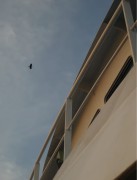 IMG_0313.jpeg