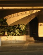 IMG_0316.jpeg