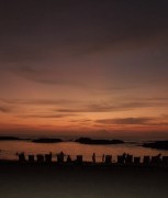 IMG_1014.jpeg