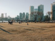 IMG_3374.jpeg