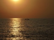 IMG_3381.jpeg