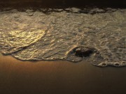 IMG_3383.jpeg