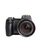 IMG_1387-Photoroom.jpeg
