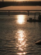 IMG_0728.jpeg