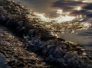 IMG_2302.jpeg