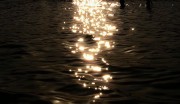 IMG_2304.jpeg